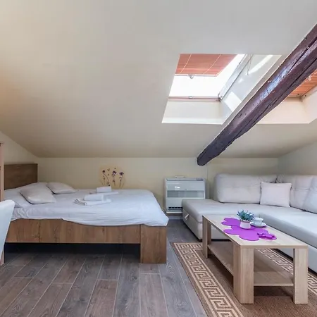 Studio Zeljka With Sea View Appartement